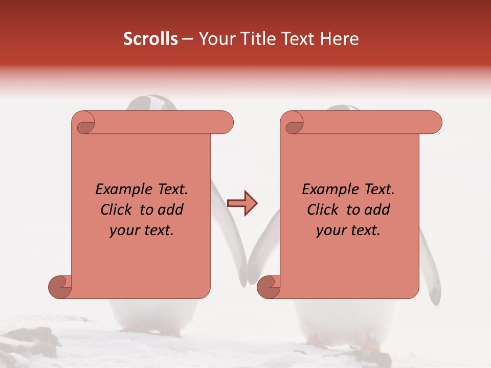 Tourism Pygoscelis Papua Wildlife PowerPoint Template
