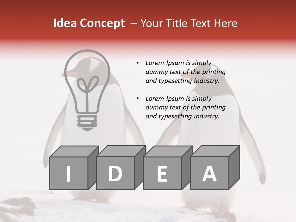 Tourism Pygoscelis Papua Wildlife PowerPoint Template