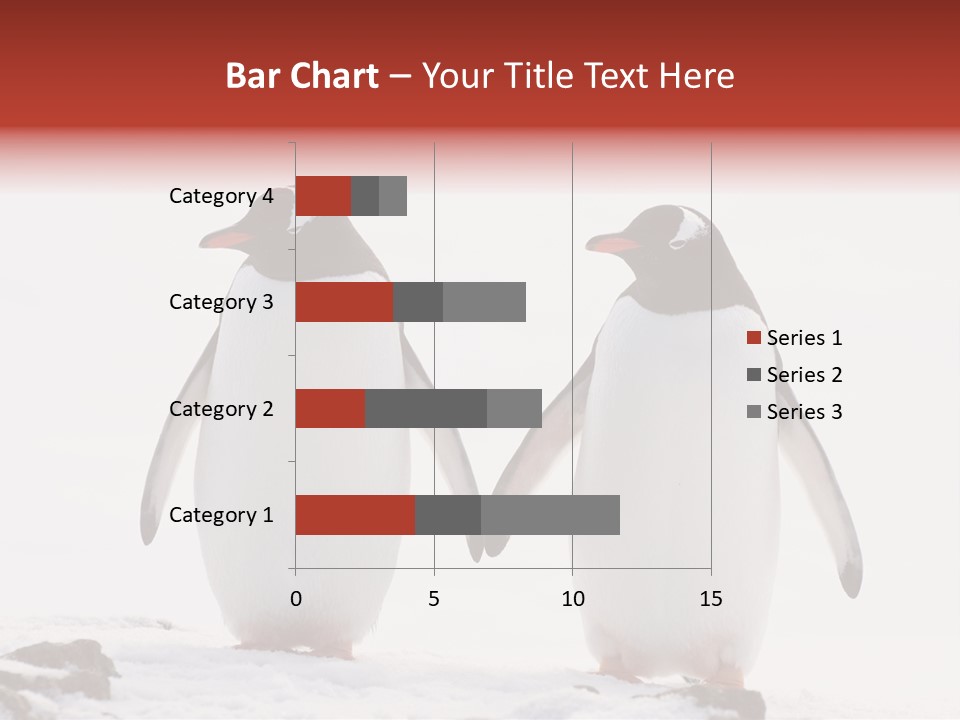Tourism Pygoscelis Papua Wildlife PowerPoint Template