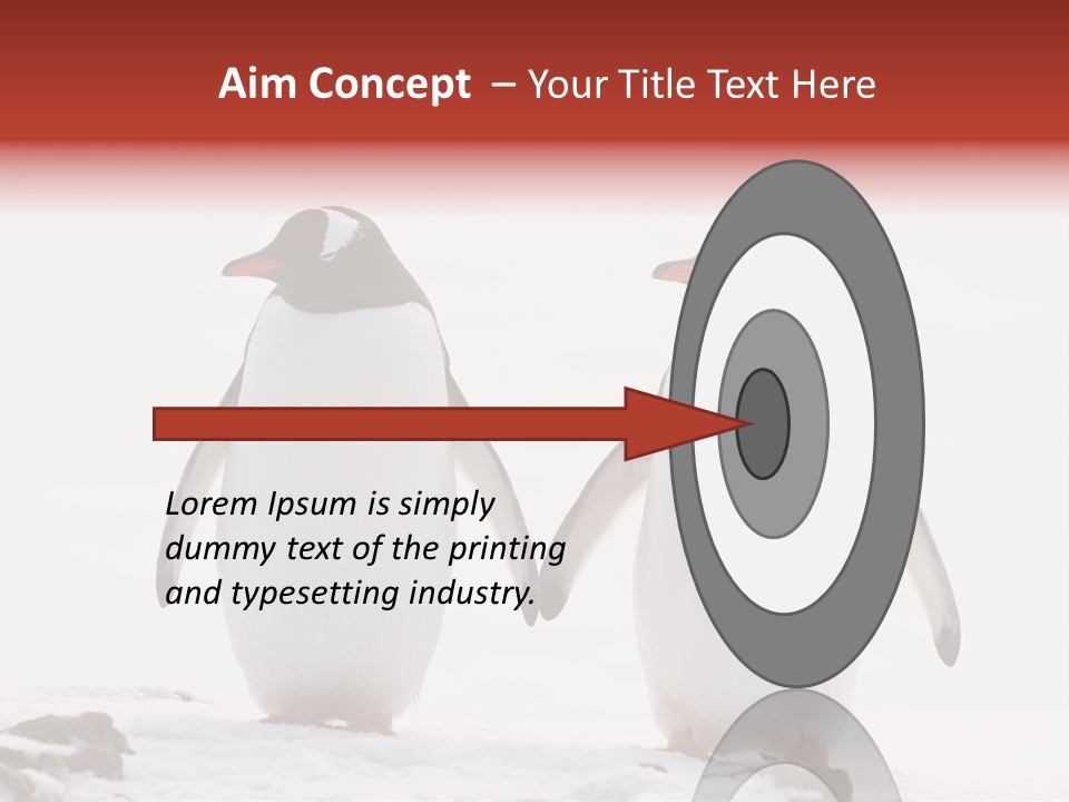 Tourism Pygoscelis Papua Wildlife PowerPoint Template