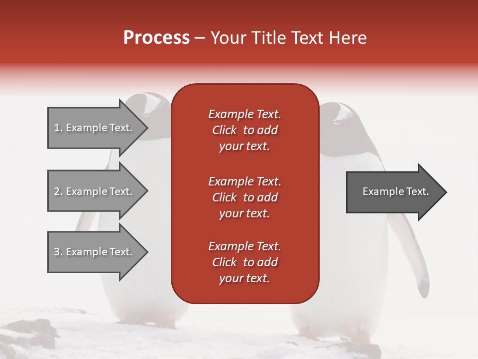 Tourism Pygoscelis Papua Wildlife PowerPoint Template