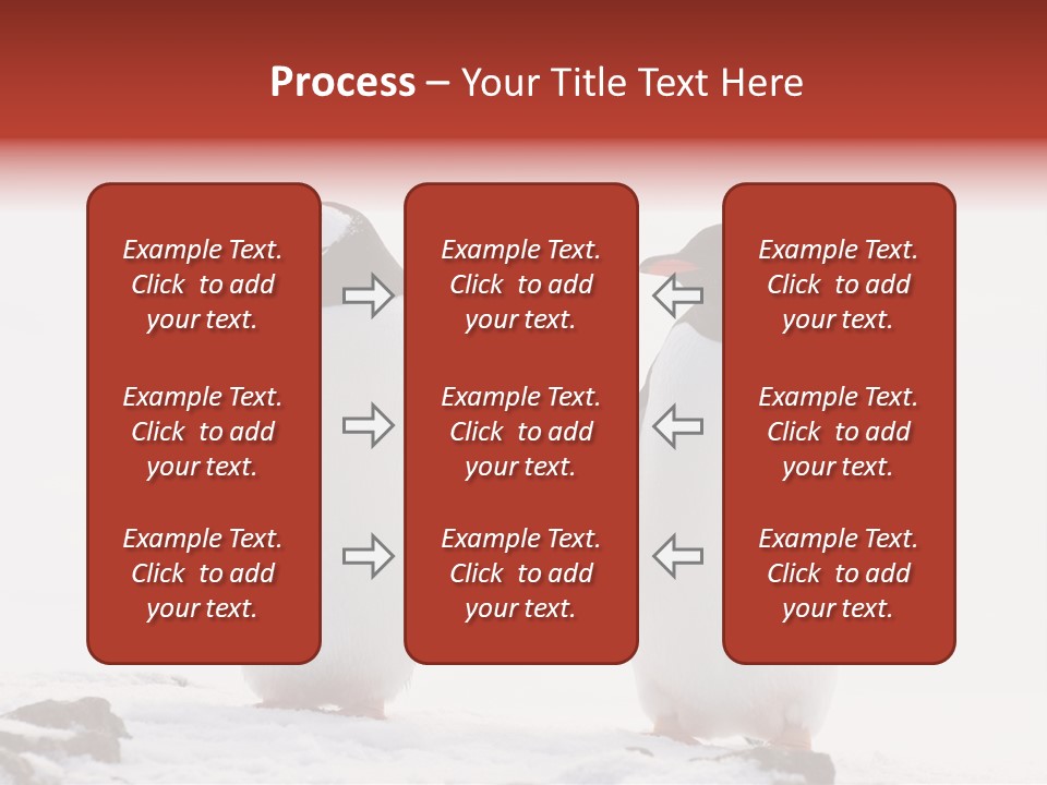 Tourism Pygoscelis Papua Wildlife PowerPoint Template