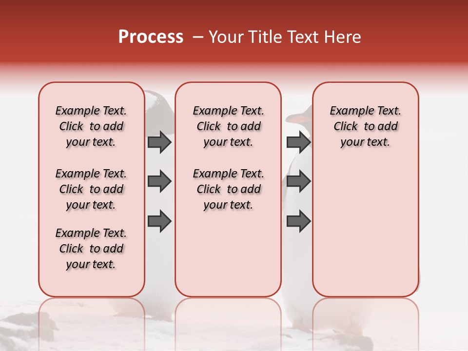 Tourism Pygoscelis Papua Wildlife PowerPoint Template
