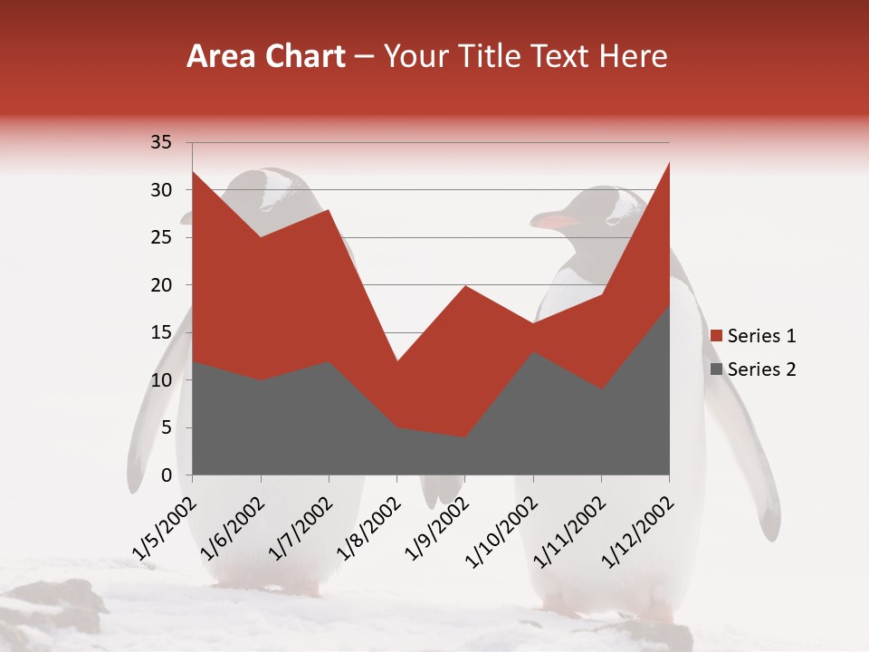 Tourism Pygoscelis Papua Wildlife PowerPoint Template