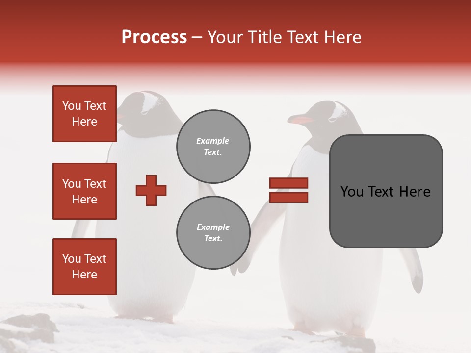 Tourism Pygoscelis Papua Wildlife PowerPoint Template