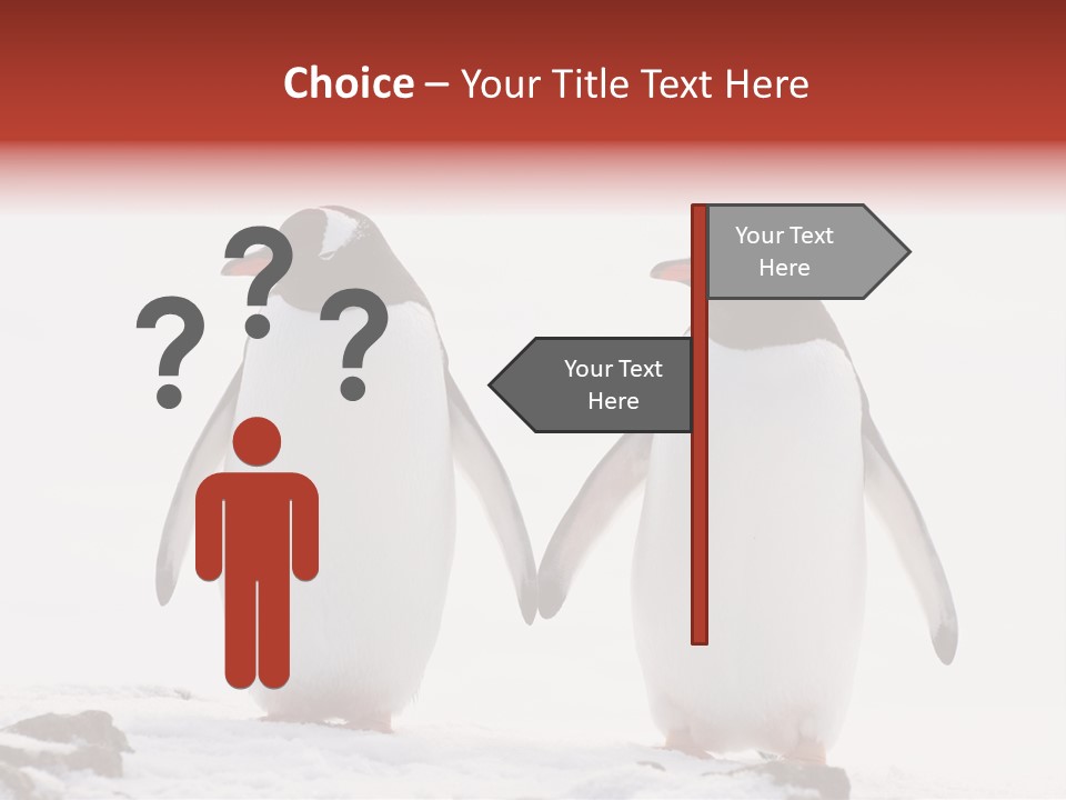 Tourism Pygoscelis Papua Wildlife PowerPoint Template