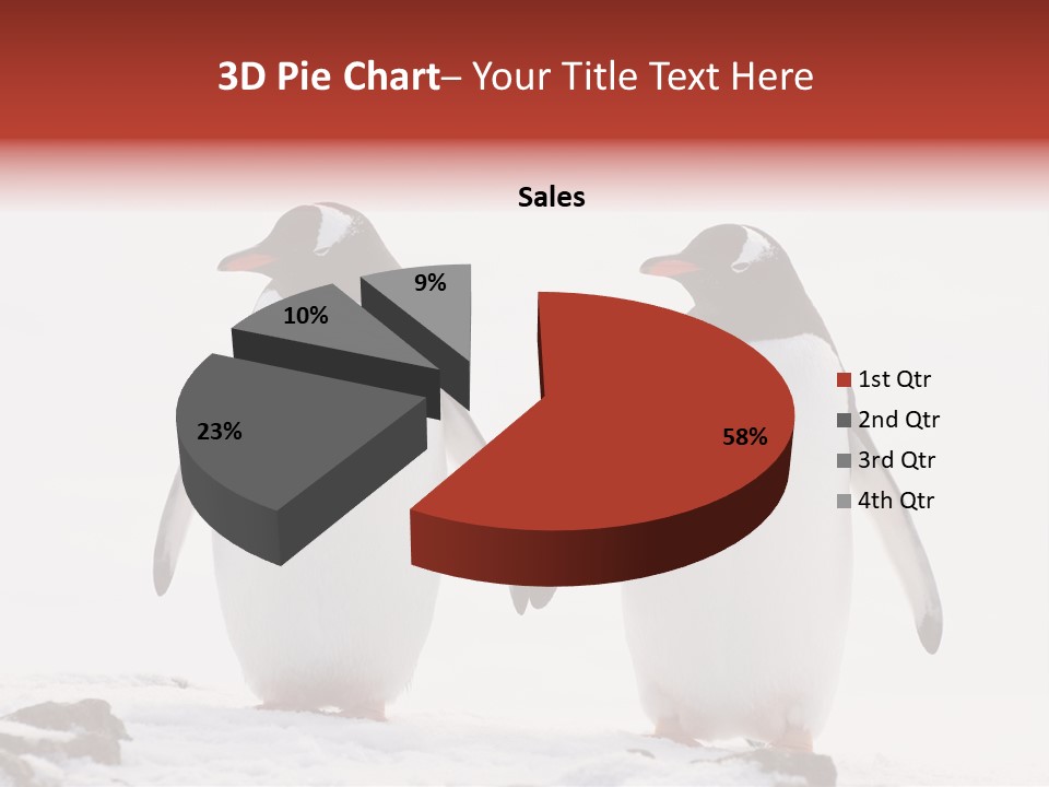 Tourism Pygoscelis Papua Wildlife PowerPoint Template