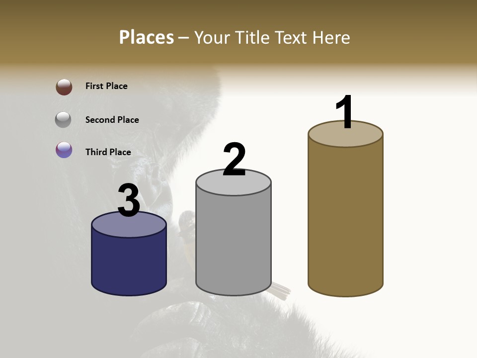 Bird Humanlike Love PowerPoint Template