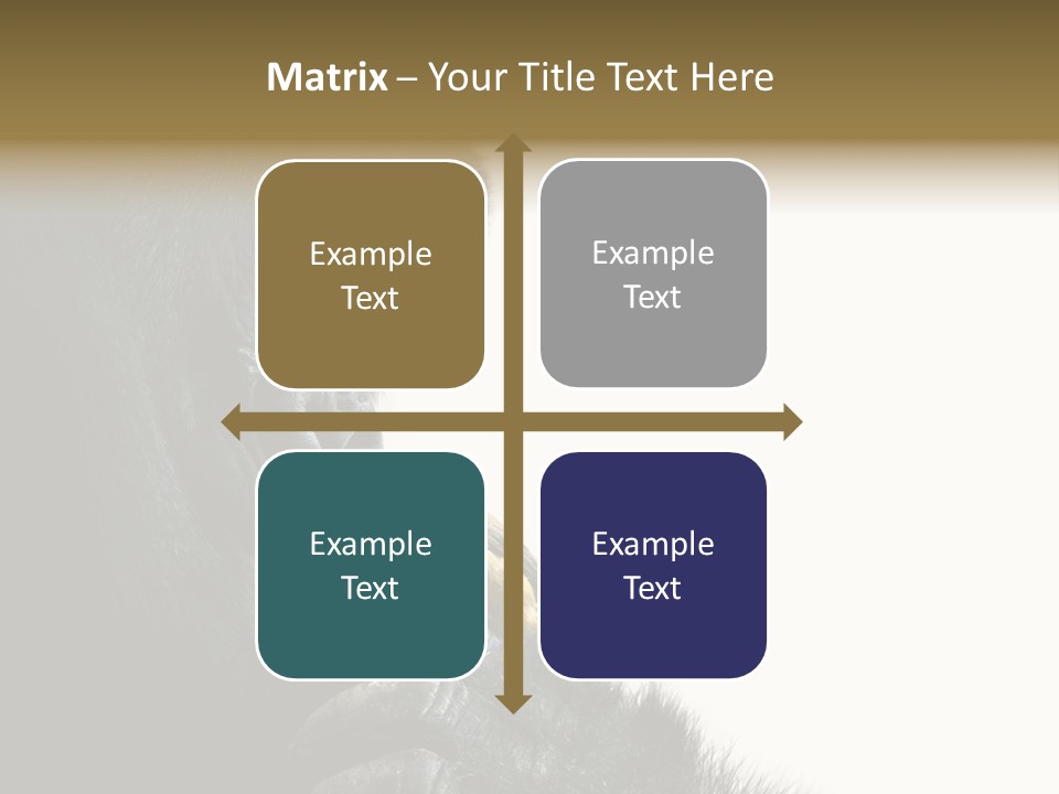 Bird Humanlike Love PowerPoint Template