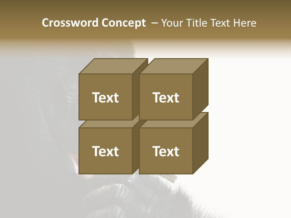 Bird Humanlike Love PowerPoint Template