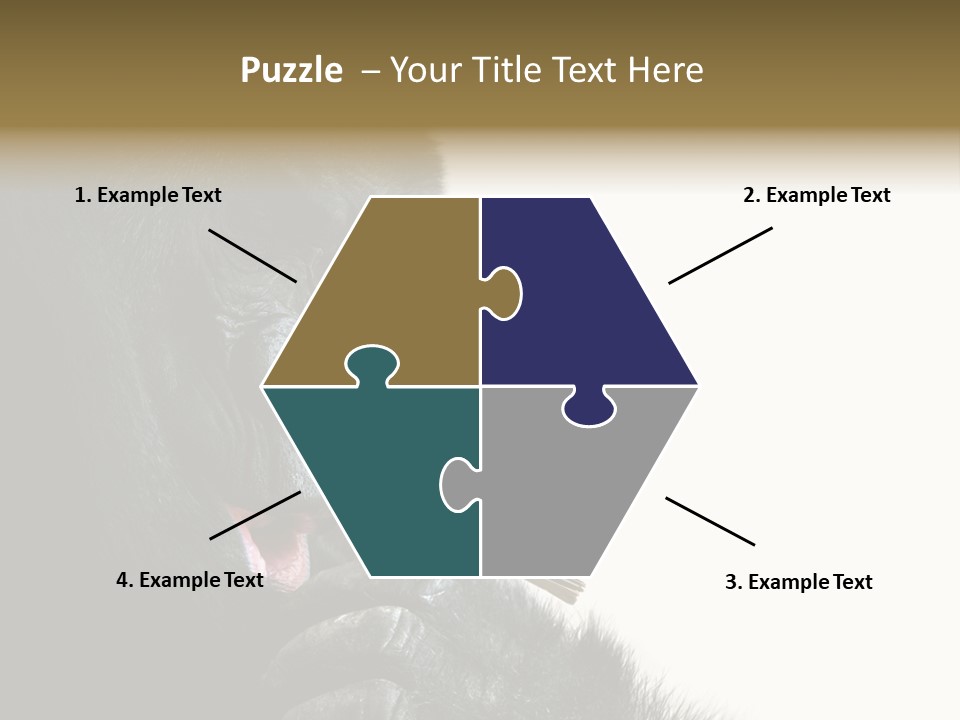 Bird Humanlike Love PowerPoint Template