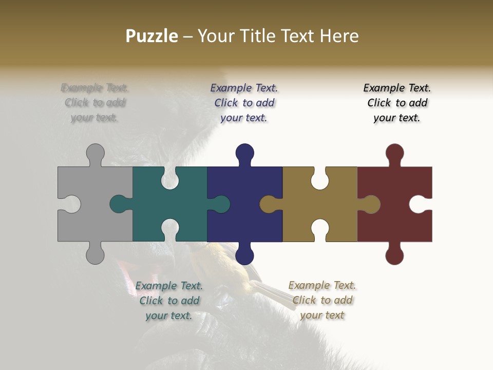 Bird Humanlike Love PowerPoint Template