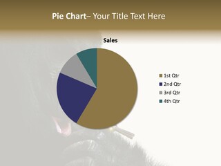 Bird Humanlike Love PowerPoint Template