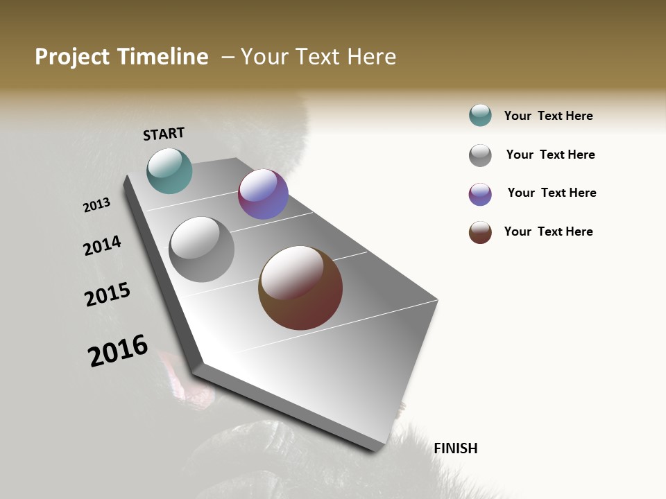 Bird Humanlike Love PowerPoint Template