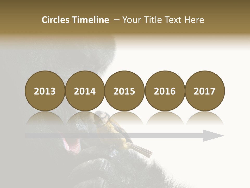 Bird Humanlike Love PowerPoint Template