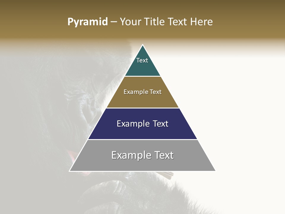 Bird Humanlike Love PowerPoint Template