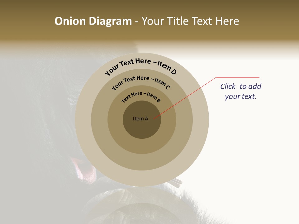 Bird Humanlike Love PowerPoint Template