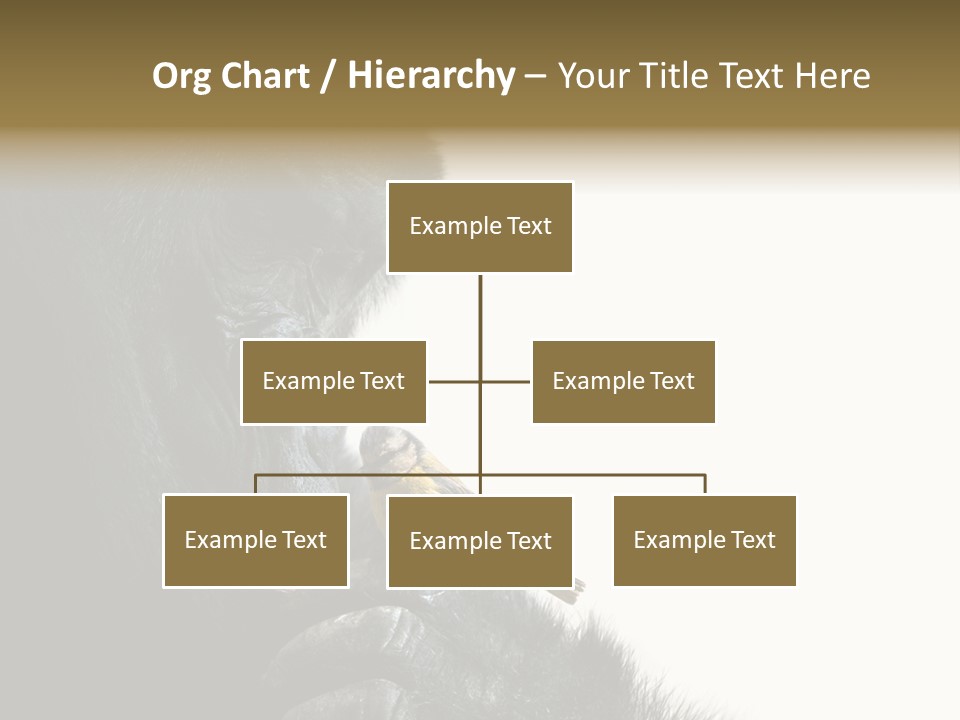 Bird Humanlike Love PowerPoint Template