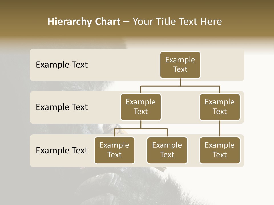 Bird Humanlike Love PowerPoint Template