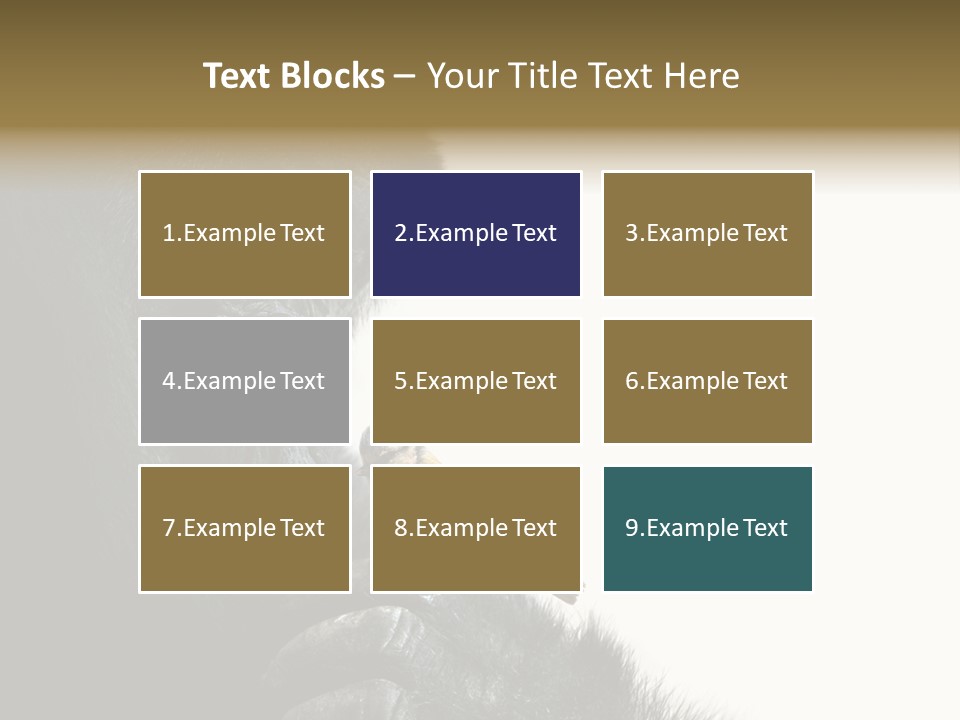 Bird Humanlike Love PowerPoint Template