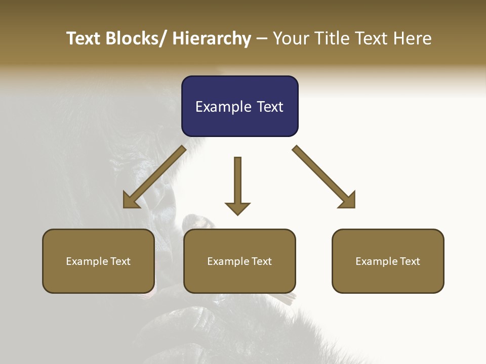 Bird Humanlike Love PowerPoint Template