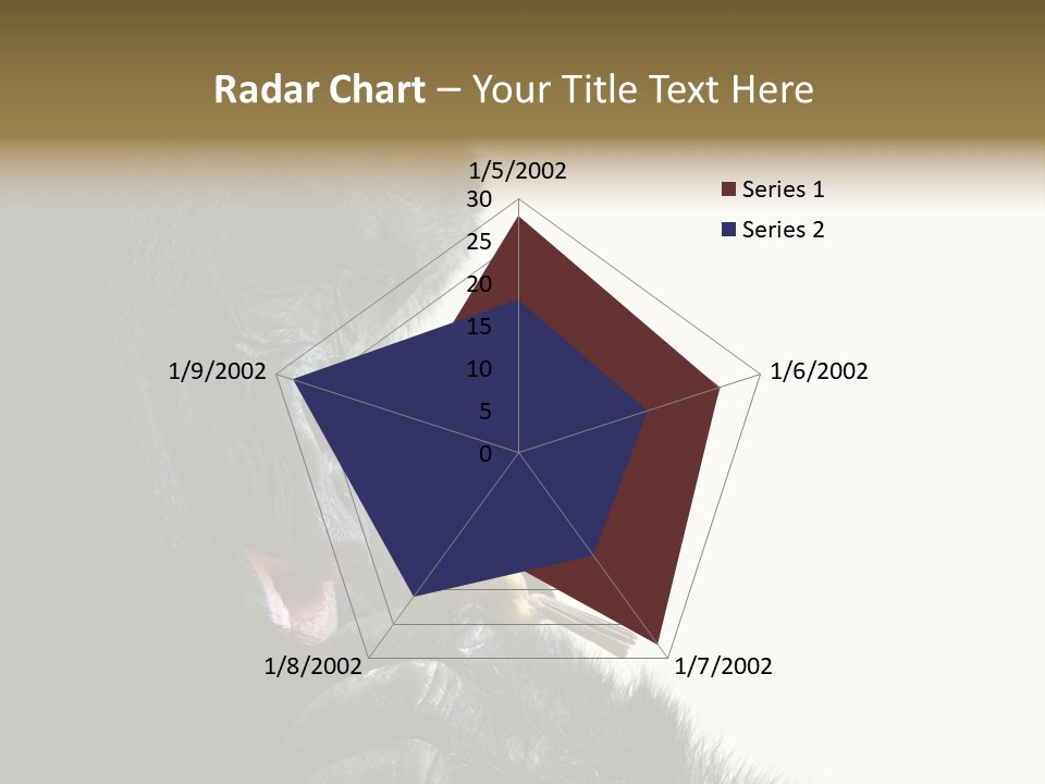 Bird Humanlike Love PowerPoint Template
