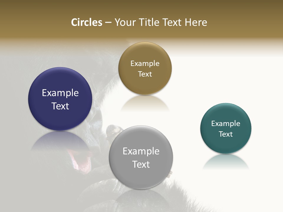 Bird Humanlike Love PowerPoint Template