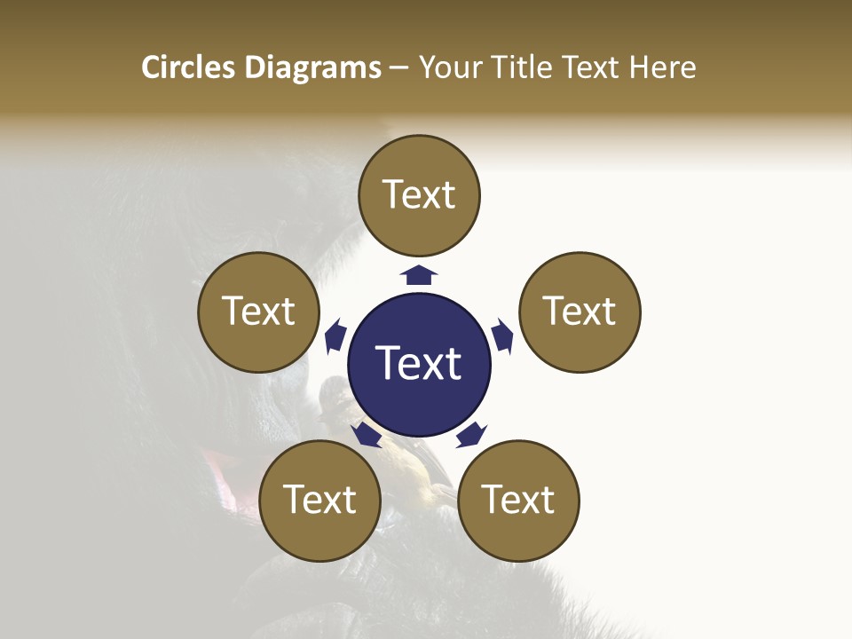 Bird Humanlike Love PowerPoint Template