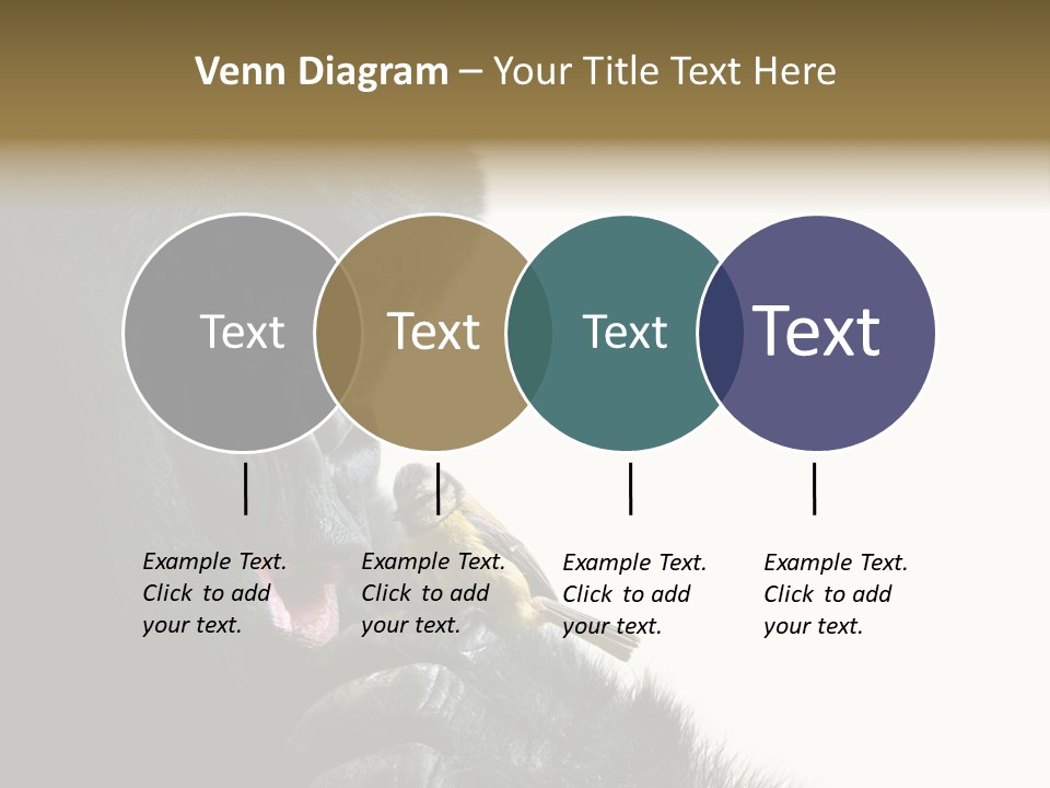 Bird Humanlike Love PowerPoint Template