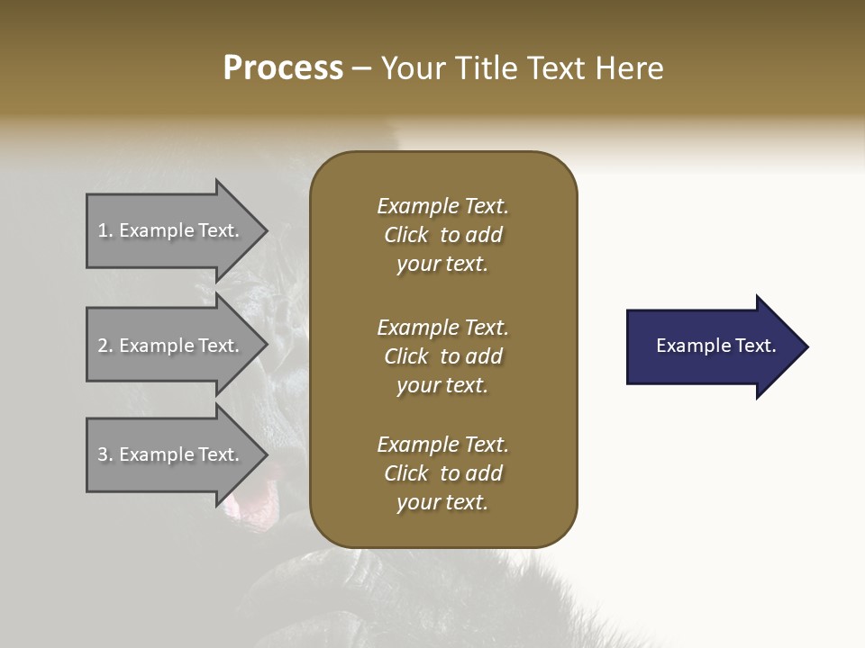 Bird Humanlike Love PowerPoint Template