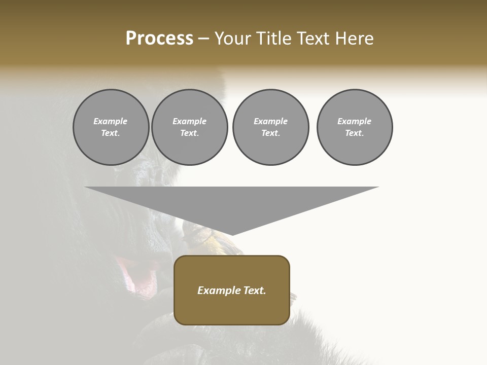 Bird Humanlike Love PowerPoint Template