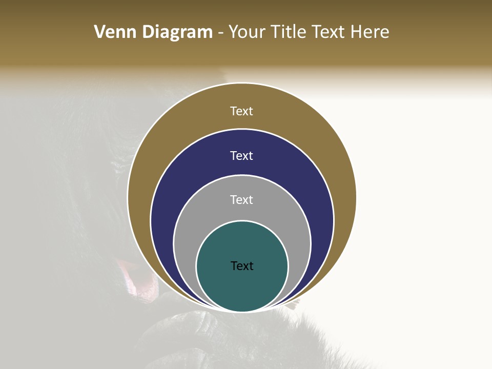 Bird Humanlike Love PowerPoint Template