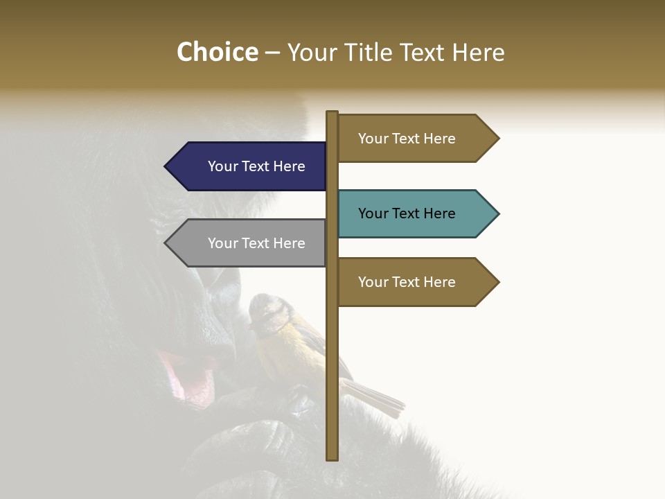 Bird Humanlike Love PowerPoint Template