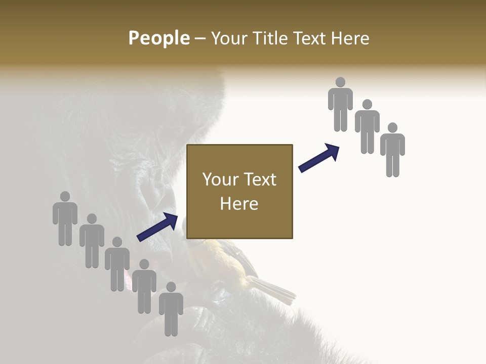 Bird Humanlike Love PowerPoint Template