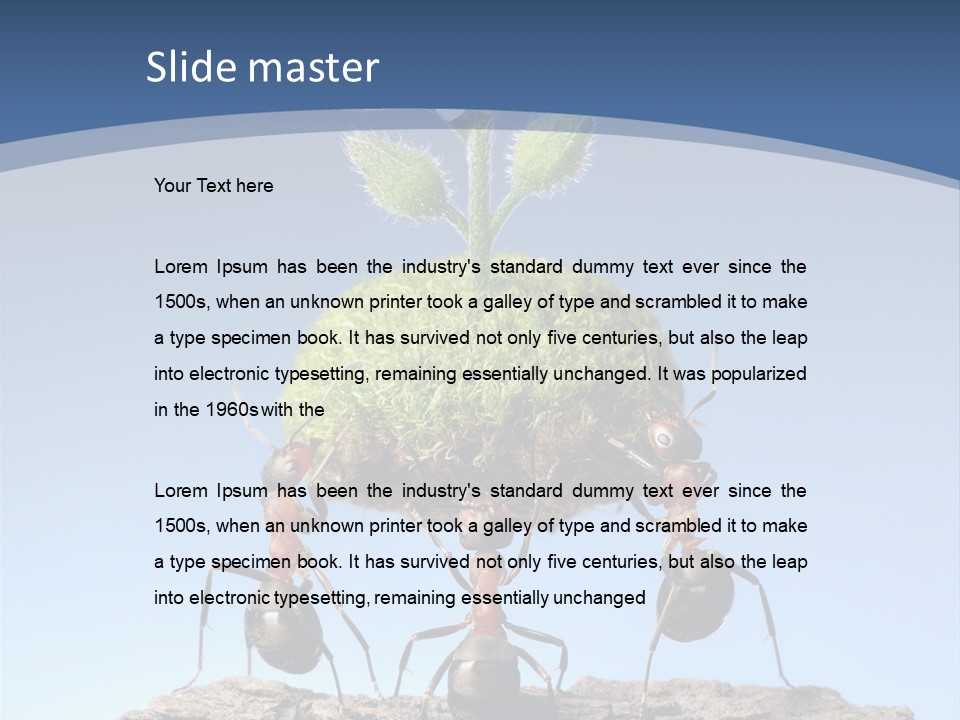 Grass Flower Green PowerPoint Template