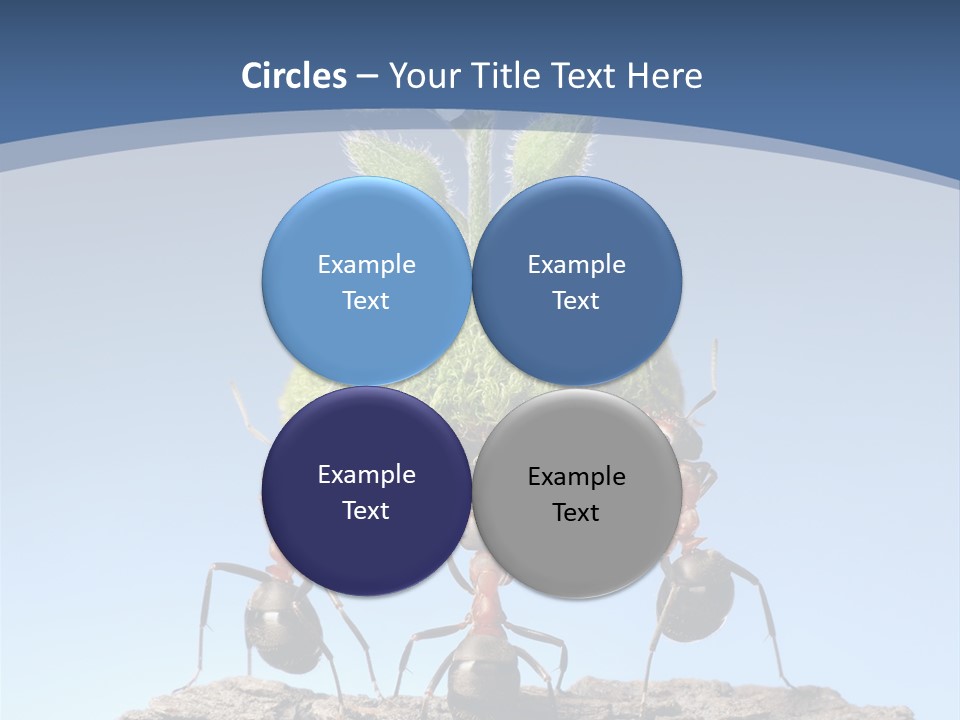 Grass Flower Green PowerPoint Template