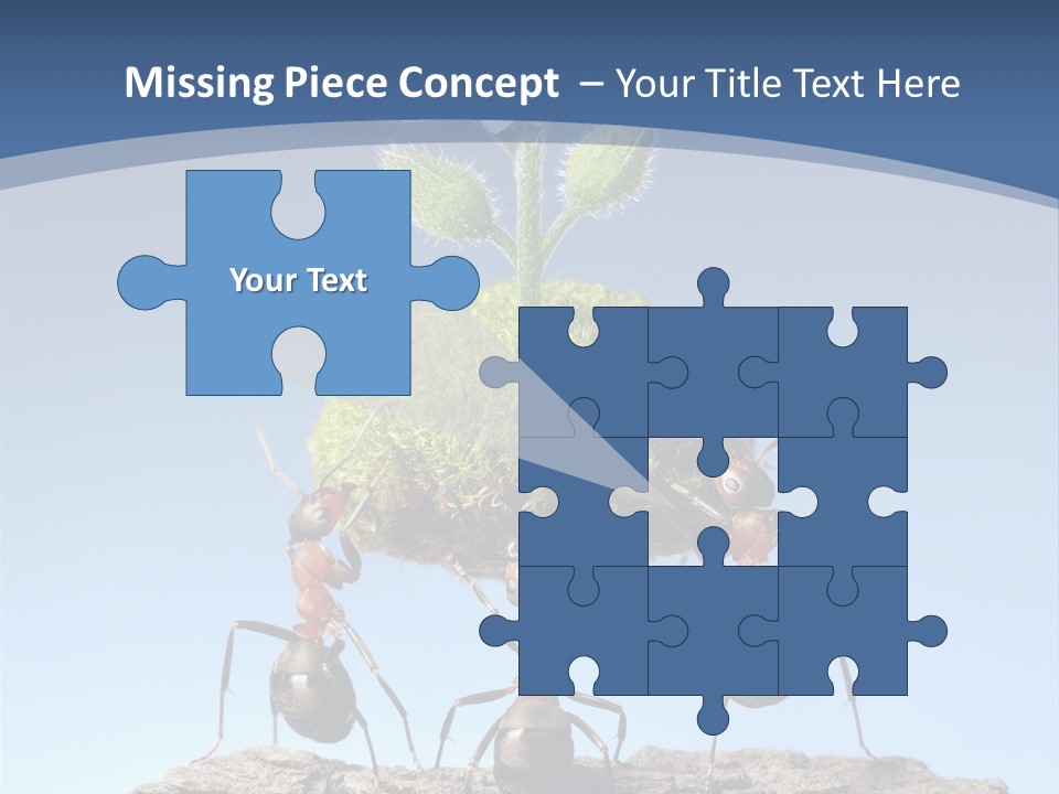 Grass Flower Green PowerPoint Template