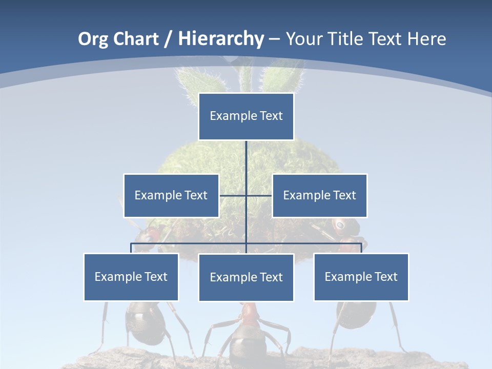 Grass Flower Green PowerPoint Template