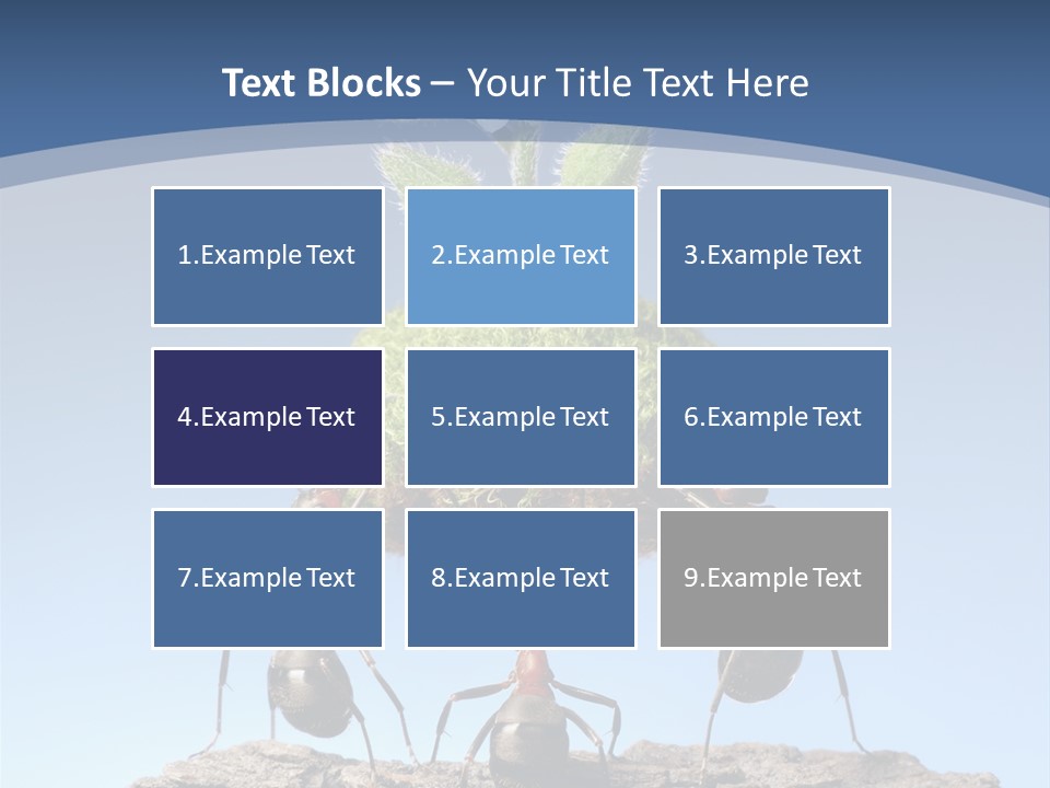 Grass Flower Green PowerPoint Template