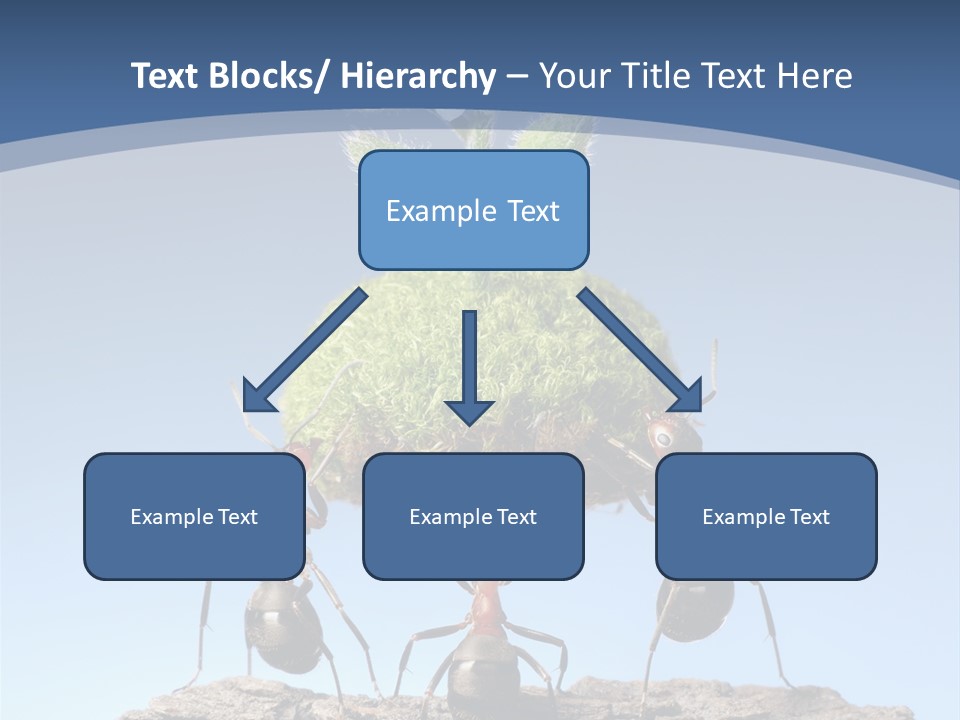 Grass Flower Green PowerPoint Template