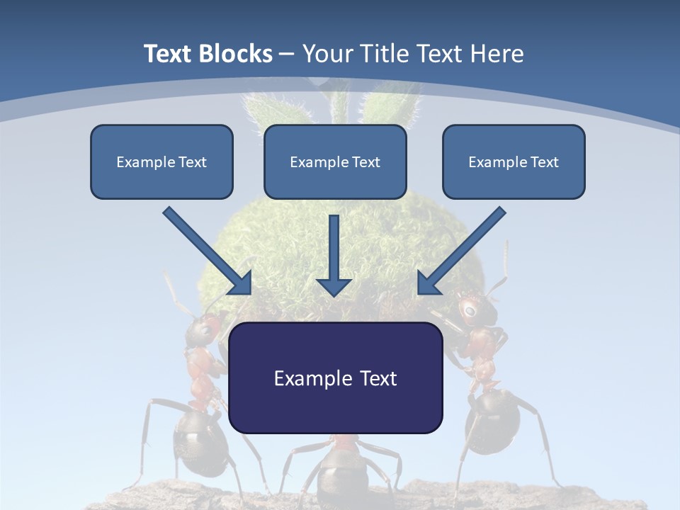 Grass Flower Green PowerPoint Template