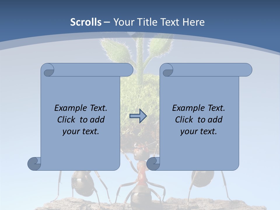 Grass Flower Green PowerPoint Template