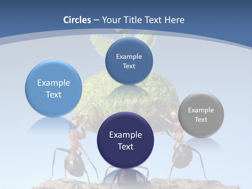 Grass Flower Green PowerPoint Template