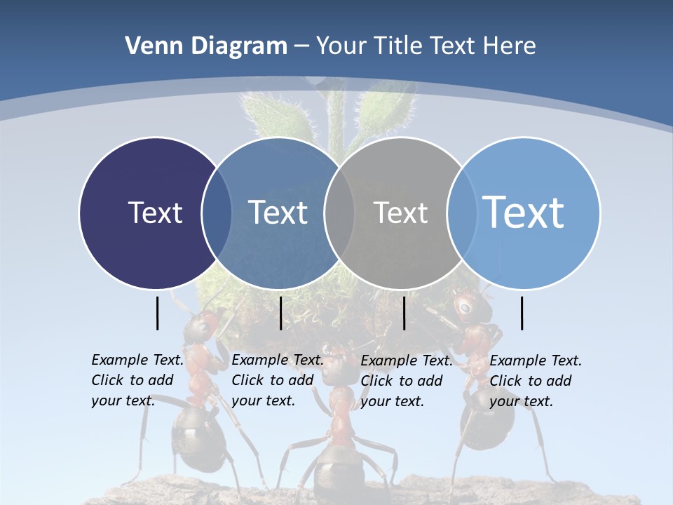 Grass Flower Green PowerPoint Template