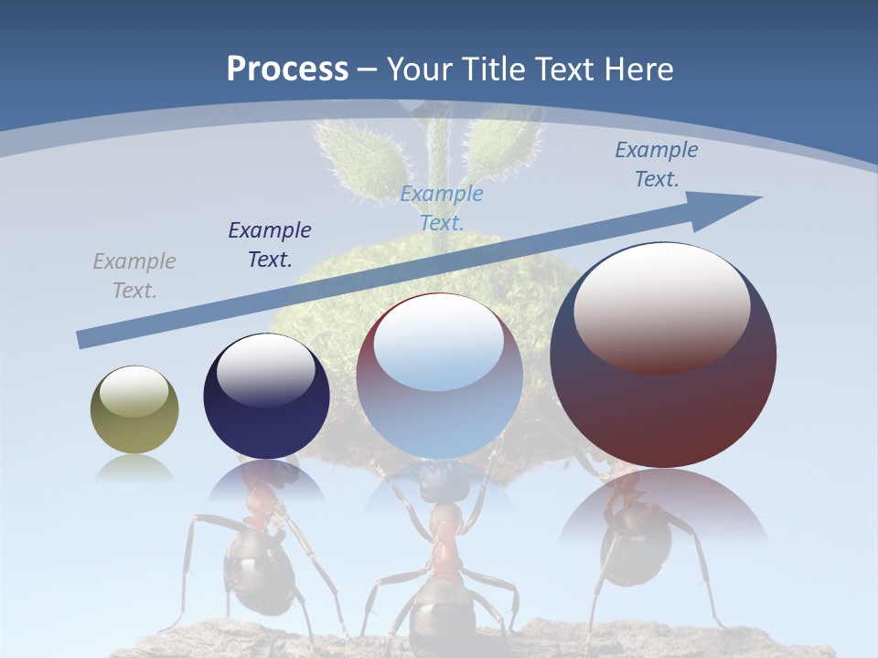 Grass Flower Green PowerPoint Template