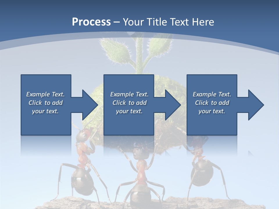Grass Flower Green PowerPoint Template
