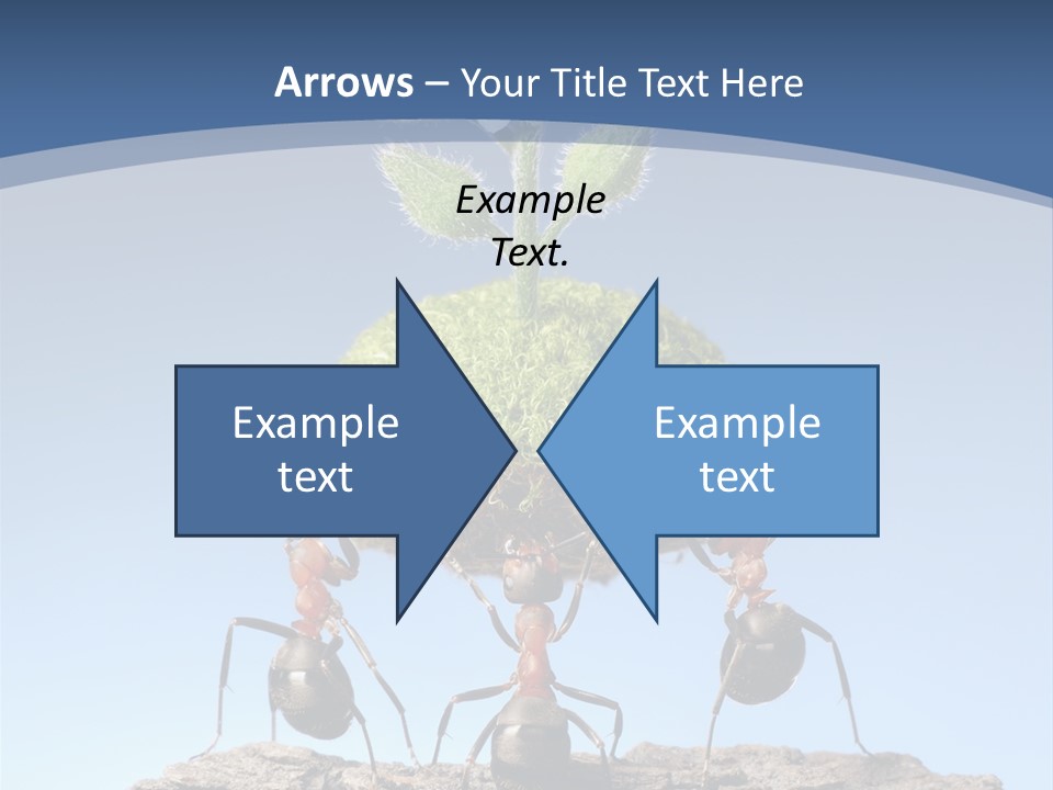 Grass Flower Green PowerPoint Template