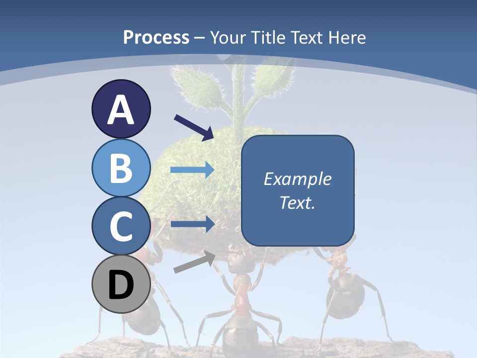 Grass Flower Green PowerPoint Template