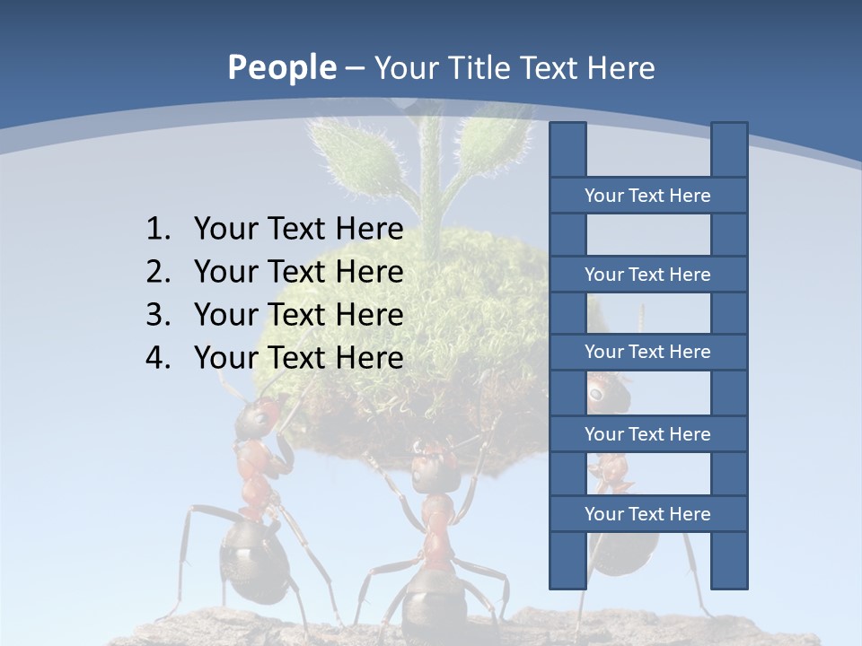 Grass Flower Green PowerPoint Template