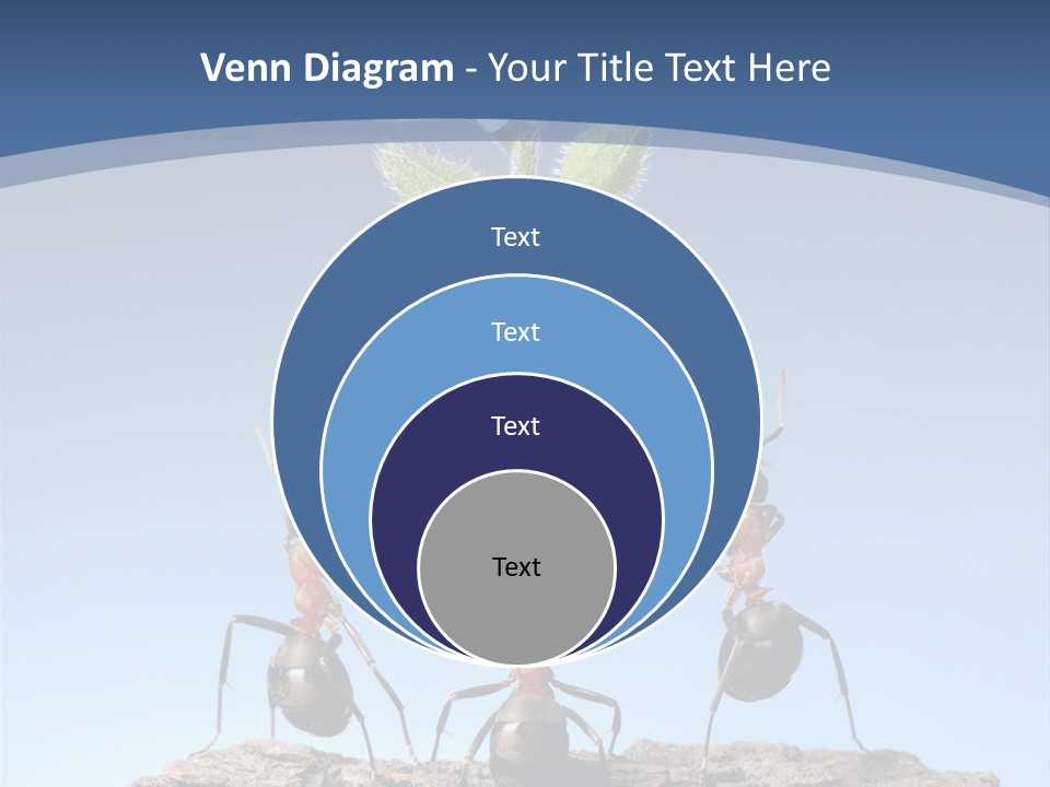 Grass Flower Green PowerPoint Template